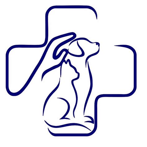 city vet davao|Animal Doctors Veterinary Hospital.
